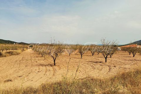 Helårsgrund i Raspay, Murcia, Raspay - € 65.000 | Ref: SF0353 - foto 5